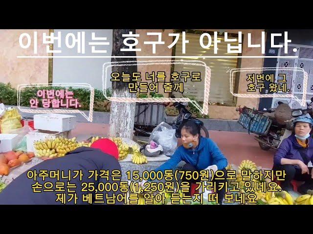 베트남 박닌 로컬 새벽시장 /로컬 여행 관광명소,관광지,시장,마트,볼거리,사원 /Cho Hoa Dinh(박닌 새벽 재래 시장) #베트남로컬시장 #베트남여행