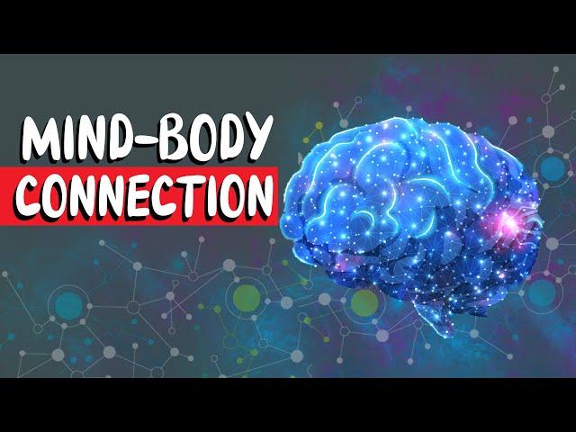 What Is The Mind-Body Connection?