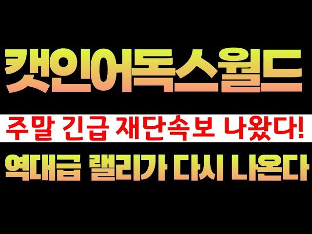 [캣인어독스월드]뮤코인 역대급 랠리 또 터트릴 재단 일정 공개 #뮤코인 #캣인어독스월드코인 #캣인어독스월드호재 #캣인어독스월드