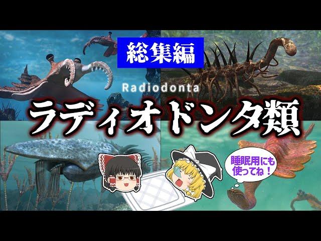 【睡眠用・ゆっくり解説】ラディオドンタ類　総集編【広告最初のみ　途中広告なし】