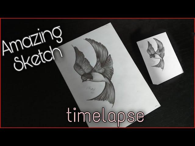 time-lapse of birds sketch by my sister #art || Mit Patel