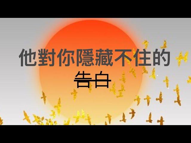 塔羅占卜他對你隱藏不住的告白（大眾能量僅供娛樂參考）