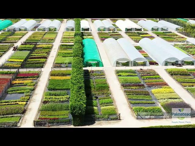 A new drone tour of Palmstead Nurseries at Wye, near Ashford in Kent (2022)