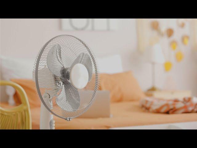 Best Fan Noise for Sleep & Study | 24 Hours White Noise for Deep Relaxation & Calmness | No Ads