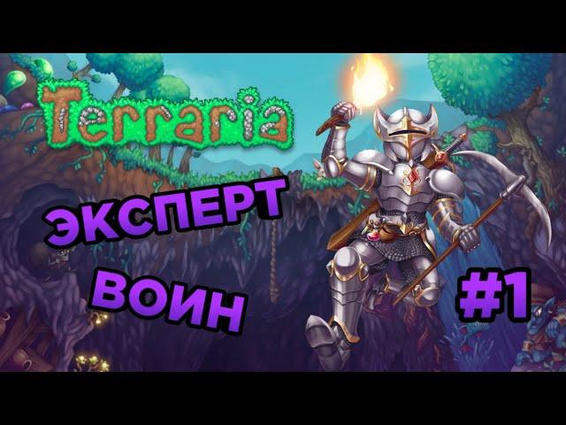 Путь Воина - Terraria - #1.