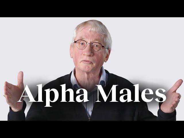 The ‘alpha male’ myth, debunked | Frans de Waal