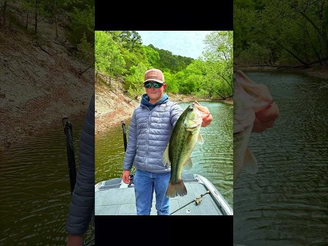 A Few Catches From This Year! #godfirst #fishing #outdoors #shorts