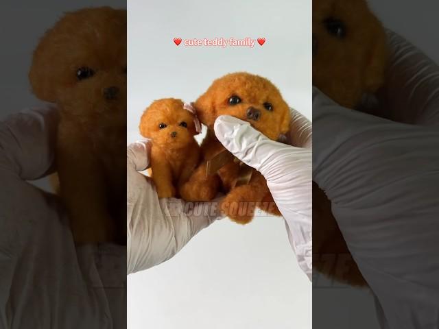 Squishy cute teddy dog  #cute #satisfying #stressrelief #kawaiiaesthetic #puppy #teddydog #poodle