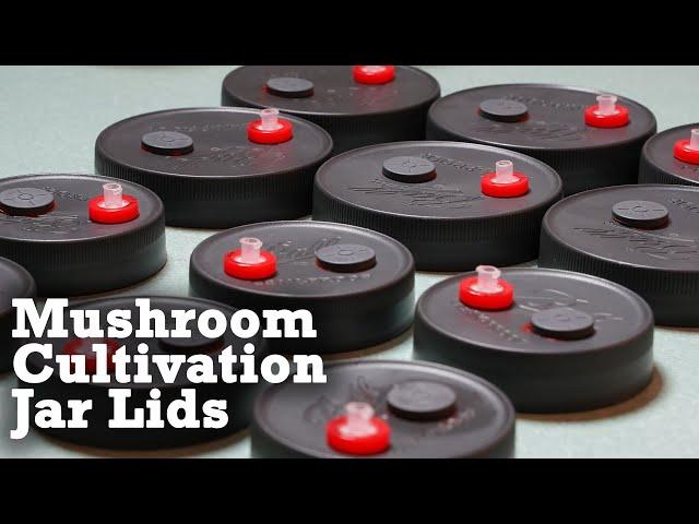 How to Grow Mushrooms: Grain Spawn & liquid culture Jar Lids