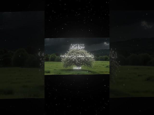 سورة غافر|48-49|القارئ:#محمد_اللحيدان #قران #quran #راحة_نفسية #قران_كريم #تلاوة_هادئة ##تلاوة_خاشعة