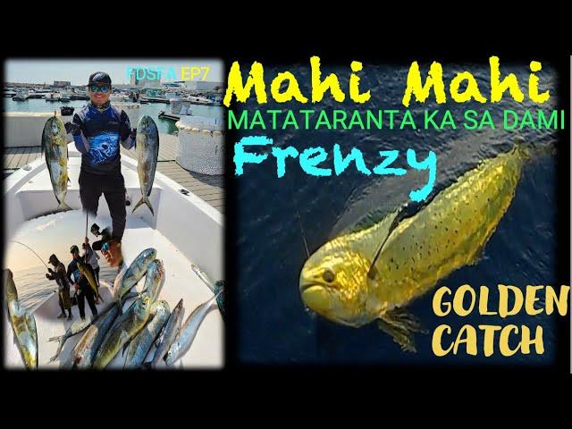 Mahi Mahi Frenzy: Adrenaline-Pumping Fishing Adventure | Best Fishing Techniques