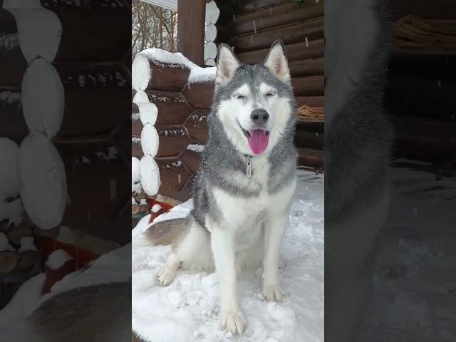 Несправедливое наказание