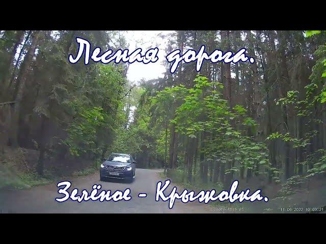 Лесная дорога Зелёное Крыжовка Минский район. Forest Driving tour. Travel by car. Beauty of Belarus.