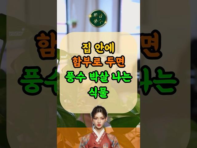 집 안에 함부로 두면 풍수 박살 나는 식물  #재물운 #귀인운 #횡재수 #로또운 #띠운세 #돈복 #재물운 #로또운세