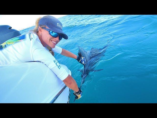 Florida Offshore Kite Fishing Video