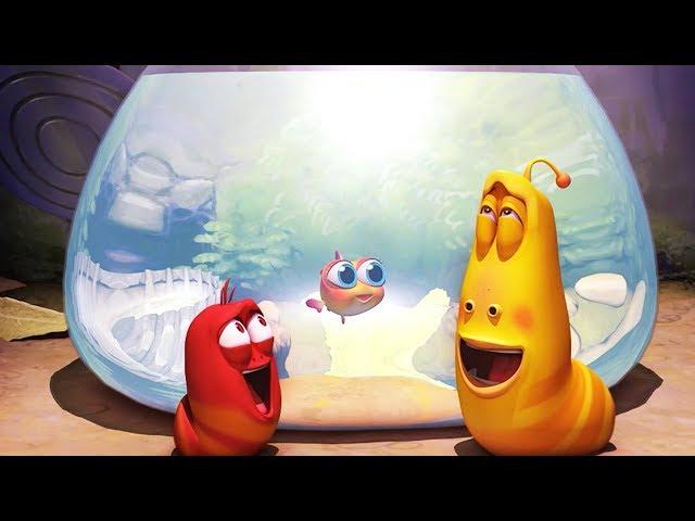 LARVA - AQUARIUM | Larva 2017 | Cartoons | Comics | Larva Cartoon | LARVA Official