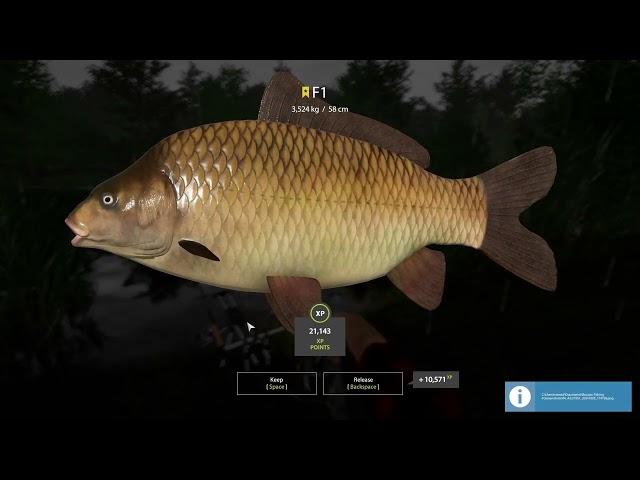 COPPER LAKE TROPHY F1 + ACTIVE SPOT | Russian Fishing 4 #russianfishing4