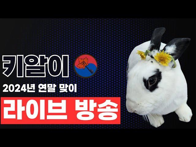 키알이 2024년 연말 맞이 라이브 스트리밍 방송