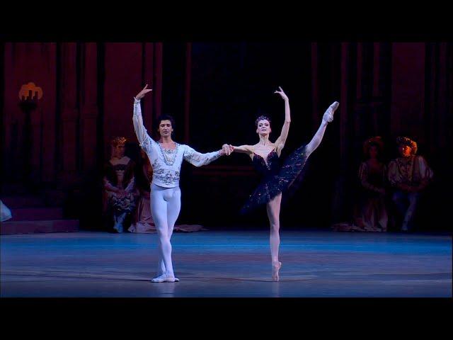 4K HDR - RUSSIAN BALLET SWAN LAKE - part 2 - Ulyana Lopatkina - Valery Gergiev