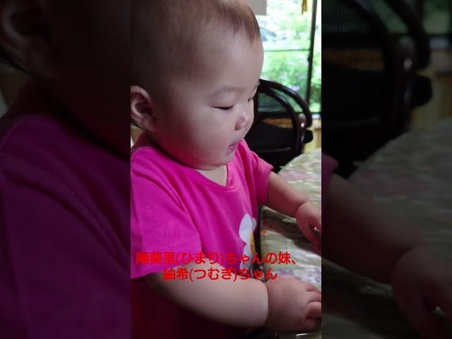 陽葵里(ひまり)ちゃんの妹、紬希(つむぎ)ちゃんの離乳食。手づかみ上手だねぇ。#陽葵里ちゃんの妹#紬希ちゃん#陽葵里#ひまりちゃん#ひまり#つむぎちゃん#つむぎ#離乳食#手づかみ#上手#10ヶ月