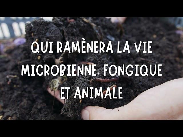 Permatheque - La Permaculture solution pour un jardin vivant - 5 conseils essentiels pour comprendre