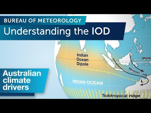 Understanding the Indian Ocean Dipole