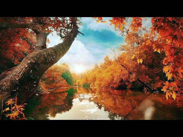 river lake watar and enjoy music
