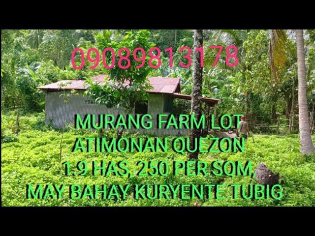 ,MURANG LUPA , 1.9 has, 250 per sqm,, my kasa Mang bahay at kulongan ng baboy,, my kuryente at tubig