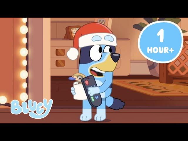 LIVE: Bluey's Countdown to Christmas   | Festive Moments, and More! | Bluey