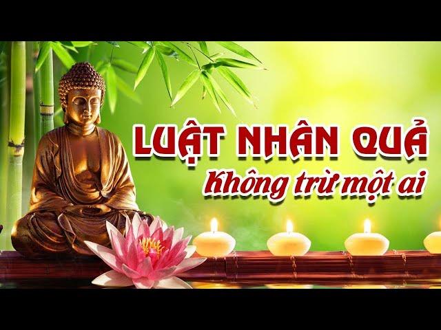 LỜI PHẬT DẠY: Nhân Quả Báo Ứng Không Trừ Một Ai I Người Sống Tốt Ắt Gặp Quả Báo Tốt | TỊNH TÂM