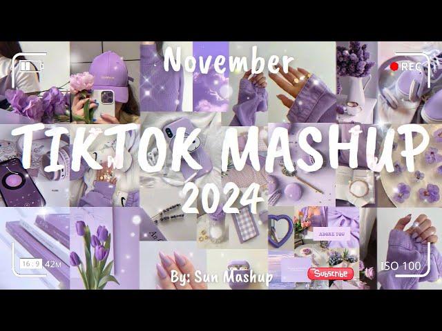 Tiktok Mashup November 2024 (Not Clean)