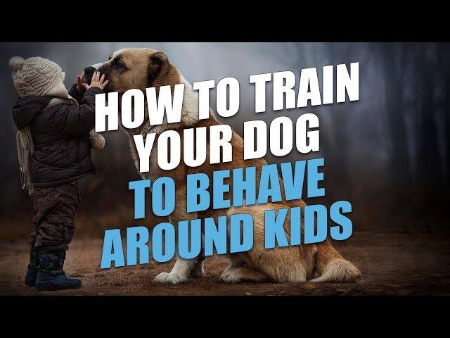 How to Train Your Dog to Behave Around Kids (Quick Tips)