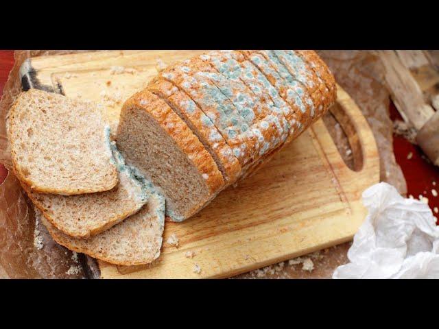 Get to know how moldy bread can cause allergic reactions,cancer & other life-threatening conditions.