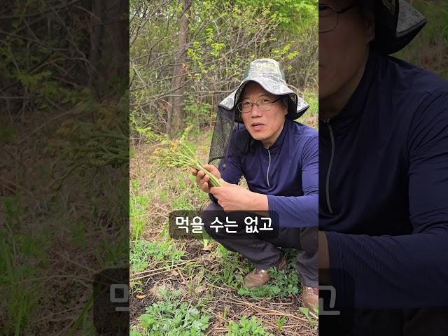 고사리 먹는법