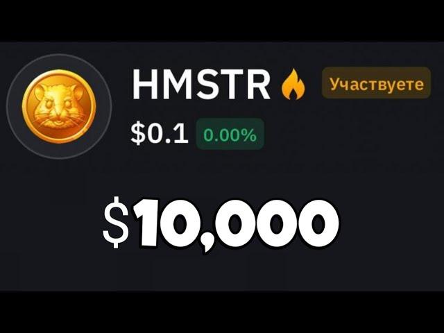 КУПИЛ HAMSTER на 10,000$ что ДАЛЬШЕ?