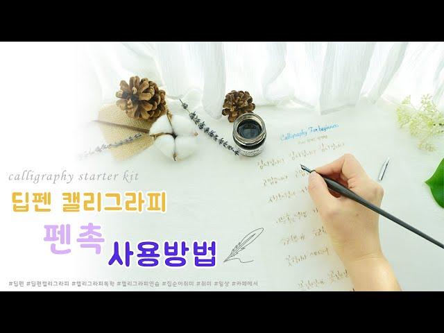 딥펜 캘리그라피 강좌 펜촉 사용방법 calligraphy starter kit