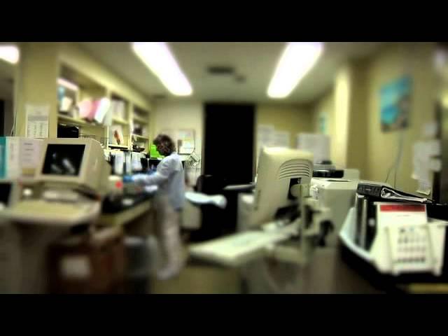 American Oil Chemists Society (AOCS)