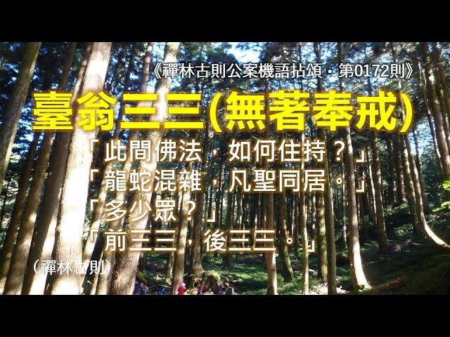 《禪林古則公案機語拈頌‧第0172則‧臺翁三三（無著奉戒）》「此間佛法，如何住持？」龍蛇混雜，凡聖同居。「眾多少？」前三三，後三三。