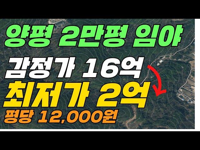 양평 2만평 임야 16억에서 2억까지 유찰 (평당 12,000원)