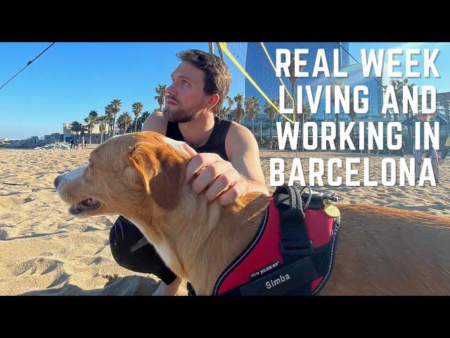 What My Week in Barcelona looks like