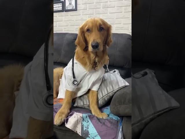 Dr.Bubbles is Back with a remedy ️ #puppy #shorts