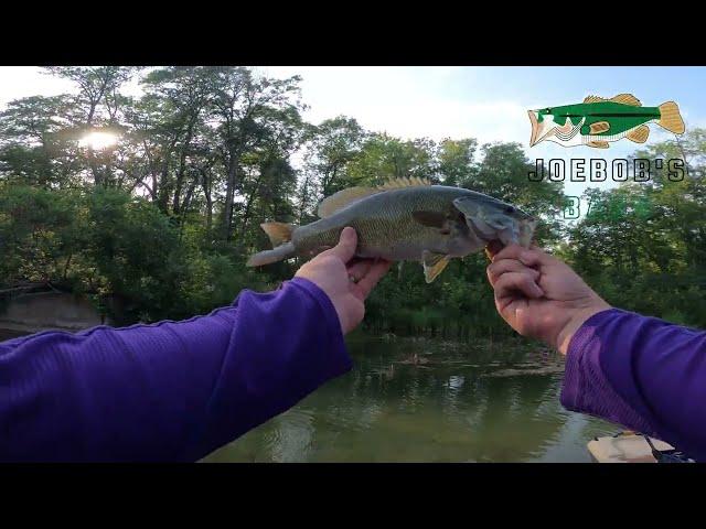 Smallmouth Bass in a TINY Shallow Water Creek? - Minnesota Fishing July