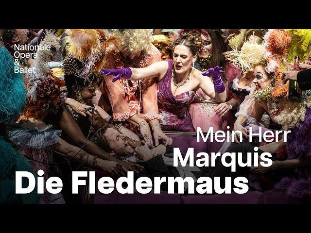 A masterful deceit in Die Fledermaus |  Dutch National Opera