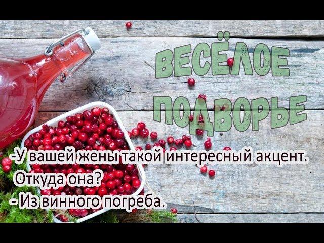 Настойка из калины, просто и вкусно! Самый быстрый рецепт.