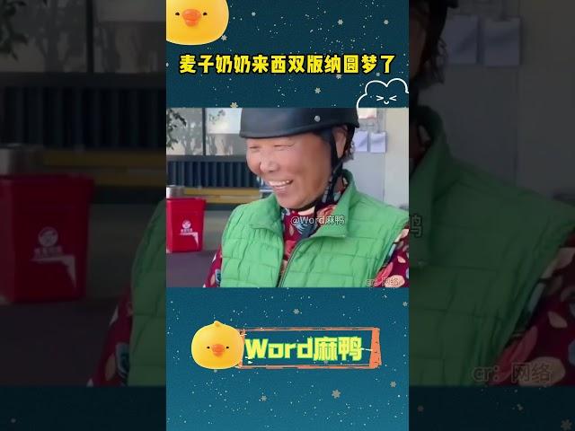 【种完麦子我就往南走】走了！#麦子阿姨 #种完麦子我就往南走