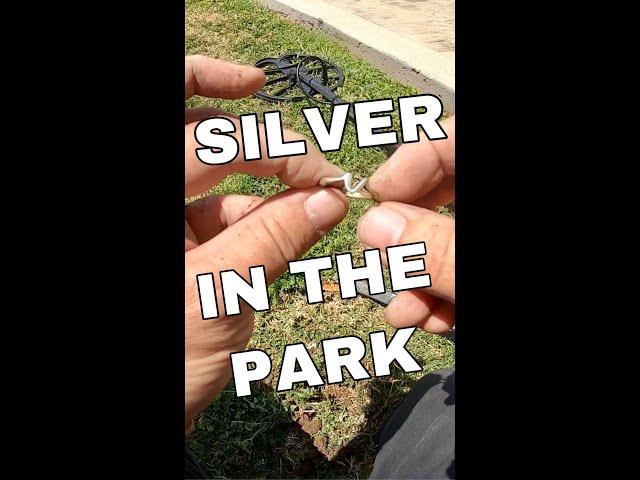 SILVER IN THE PARK