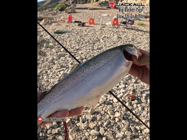 Spin ile Alabalık Avı, Trout Fishing #alabalıkavı #troutfishing #jackalllures #atçekalabalıkavı