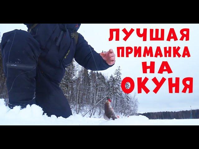 ЛУЧШАЯ ПРИМАНКА НА ОКУНЯ!!! ВТОРОЙ ГОД ЕЕ НЕ СНИМАЮ!!!