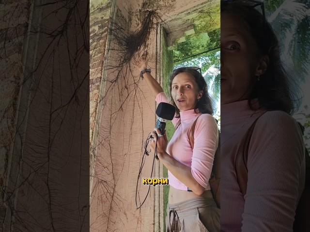 АСМР пойдем со мной НА ЗАБРОШКУ В ДЖУНГЛЯХ #asmr #асмр #асмрзаброшка #асмрджунгли