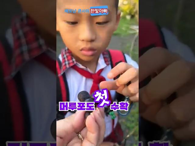 [한베부부] 베트남 우리집에 어떤일이 #포도 #국제커플 #한빛아빠